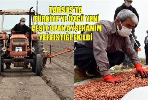 tarsus belediyesi