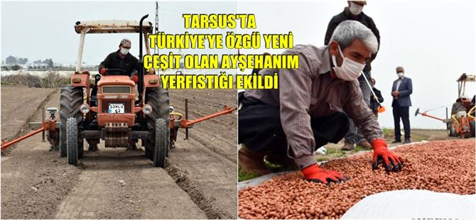 tarsus belediyesi